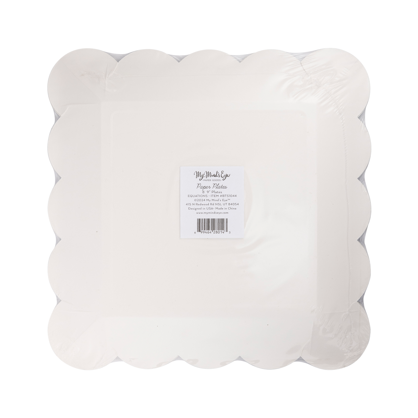 BTS1044 - Equations Paper Plate