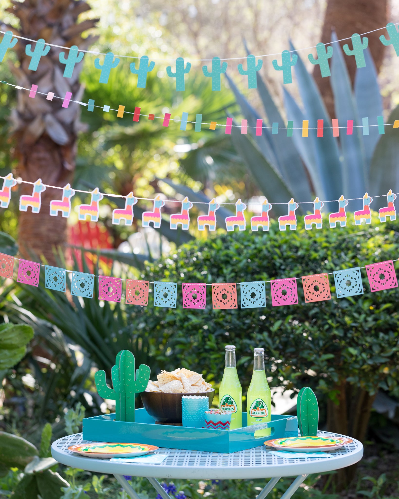 Cactus Mini Banner