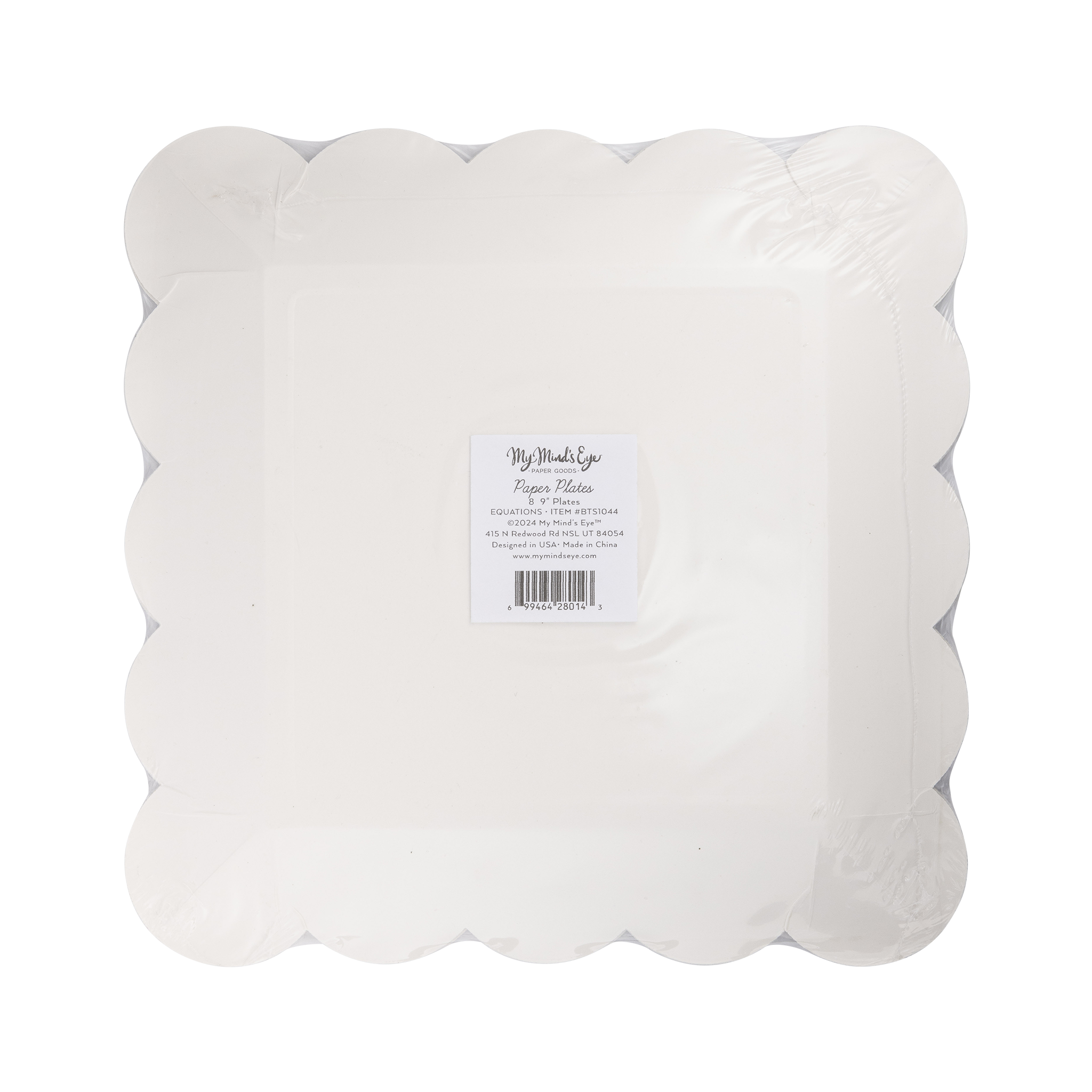 BTS1044 - Equations Paper Plate