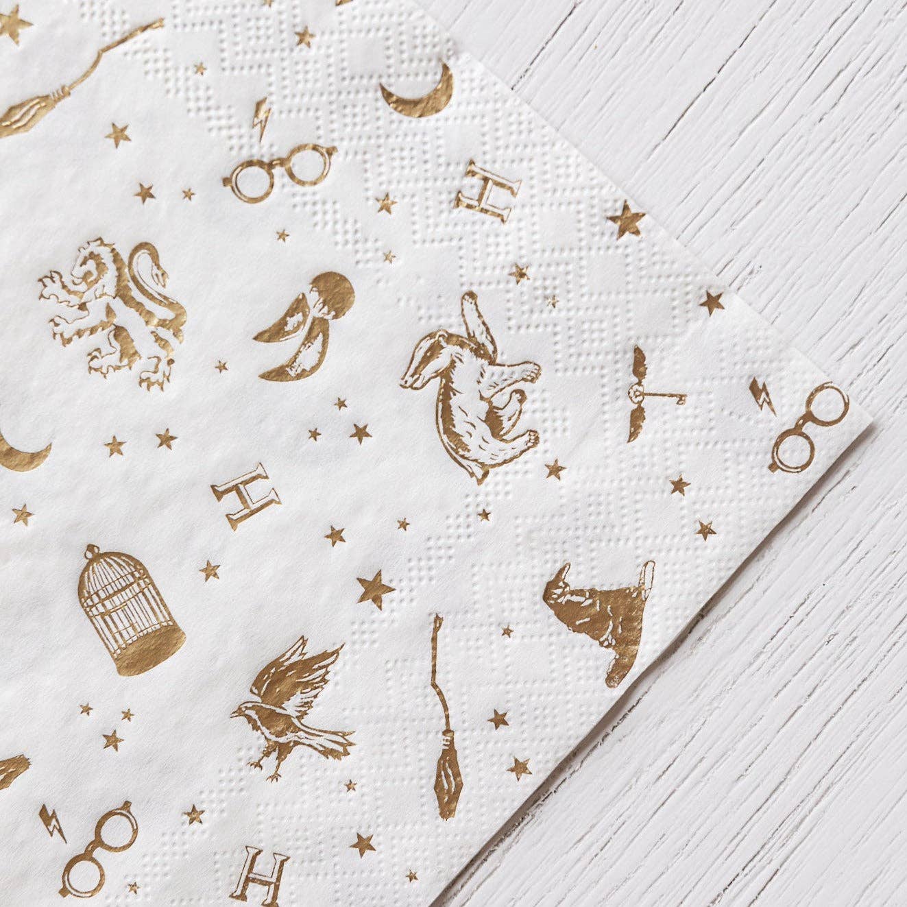 HARRY POTTER X BONJOUR FÊTE HOUSE PRIDE LARGE PARTY NAPKINS