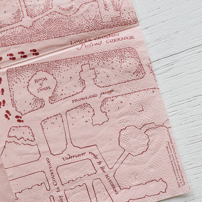 HARRY POTTER X BONJOUR FÊTE HOUSE PRIDE SMALL PARTY NAPKINS