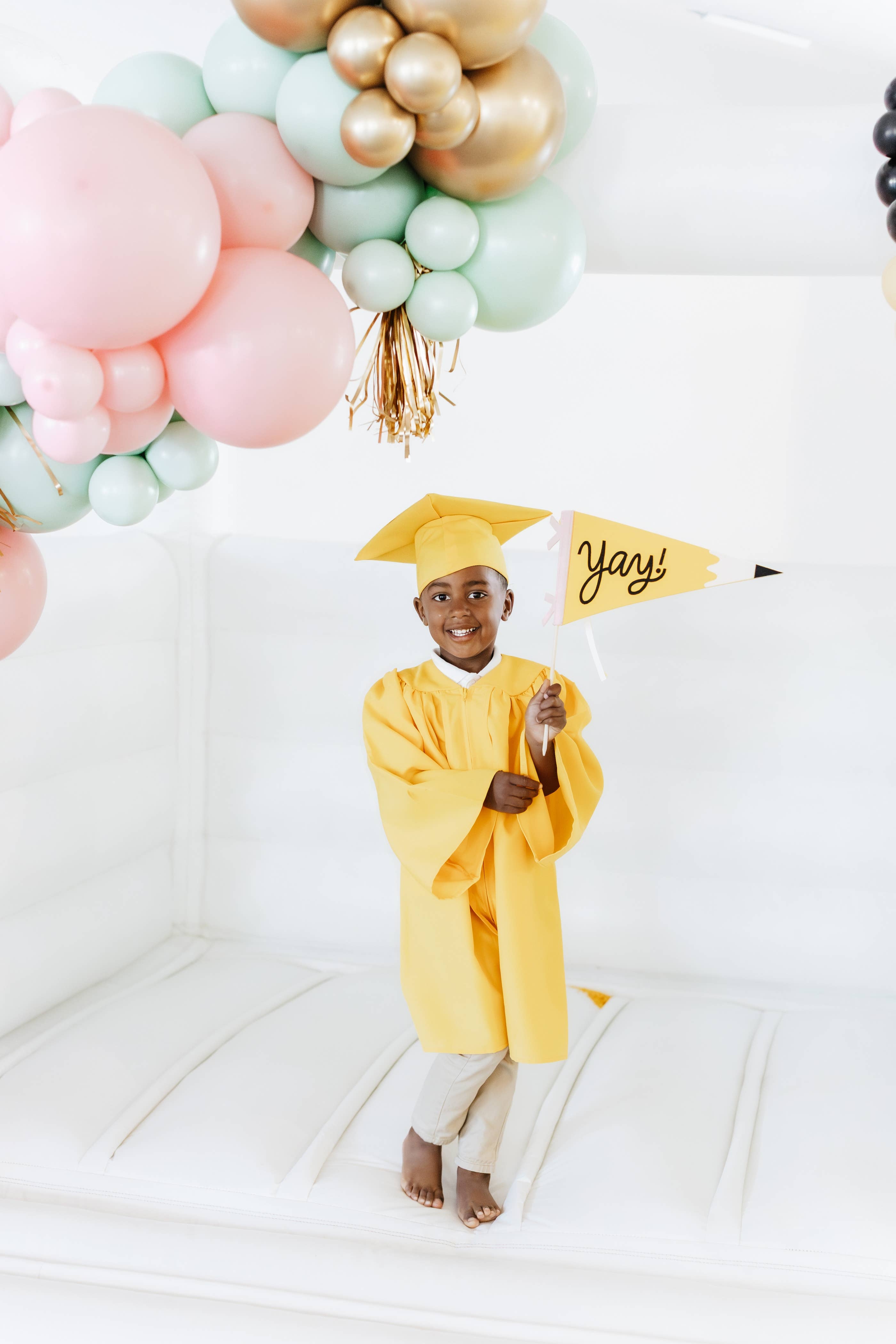 YGD1115 - Occasions by Shakira - Yay Pencil Felt Pennant