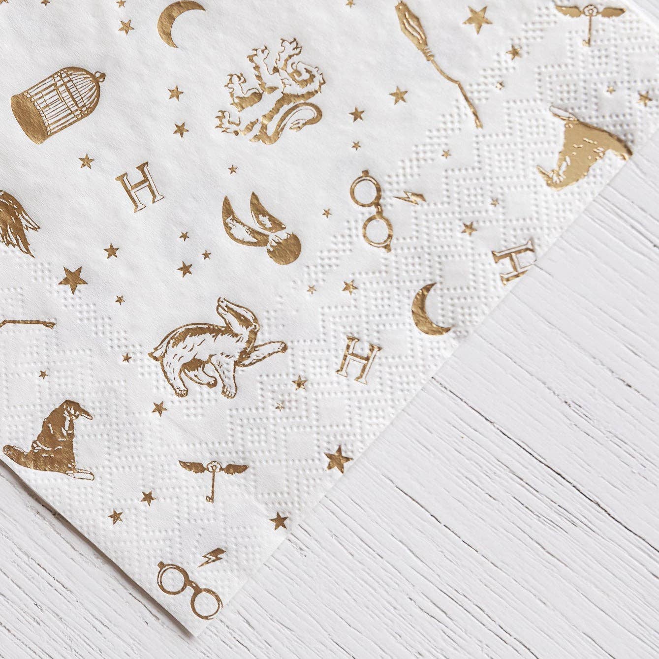 HARRY POTTER X BONJOUR FÊTE HOUSE PRIDE LARGE PARTY NAPKINS