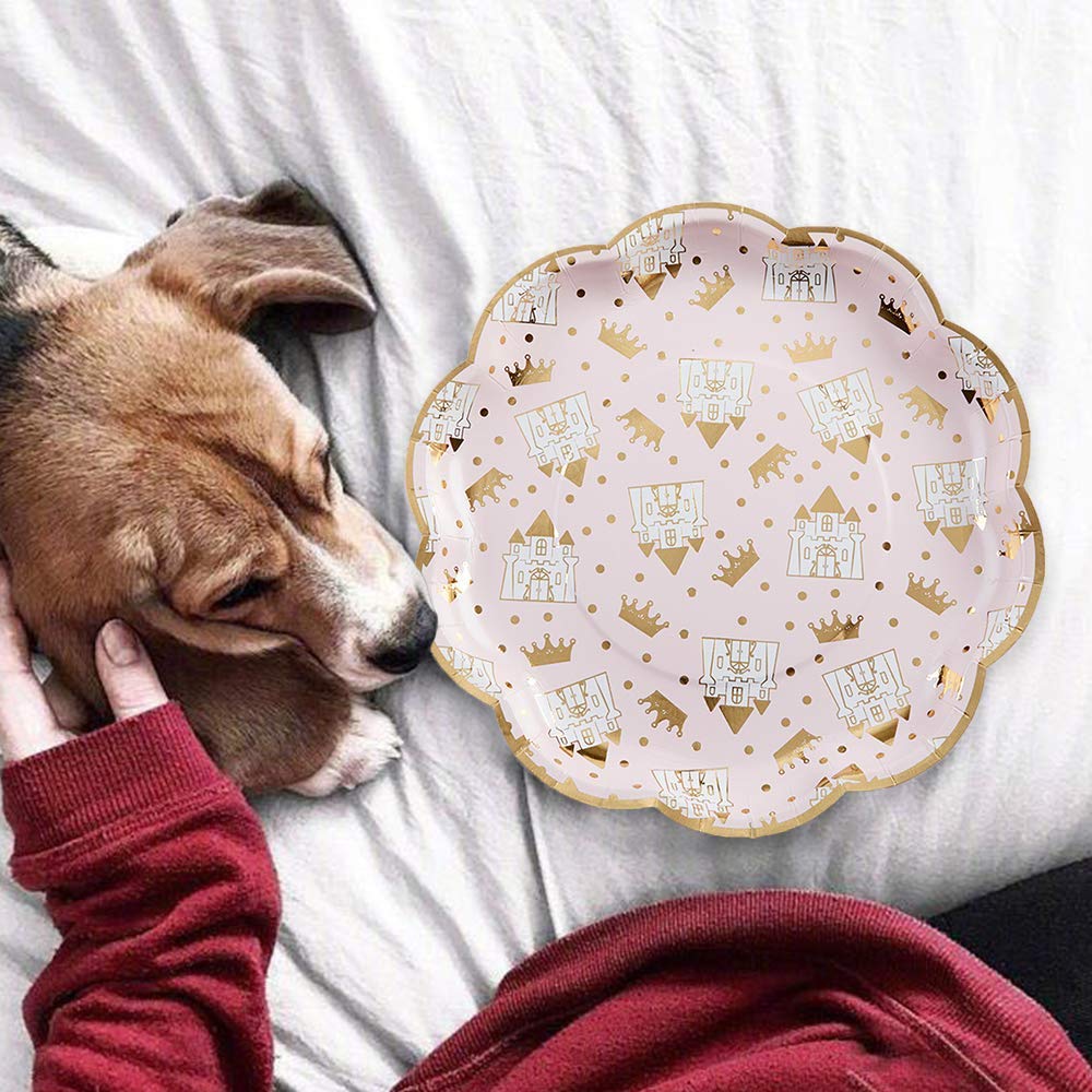 Princess Premium 9in Paper Plates (8)