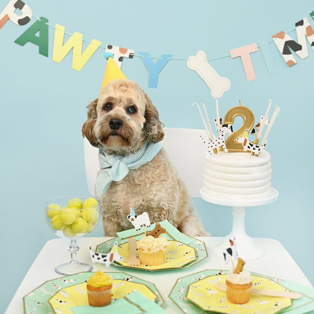 Dog Party Banner