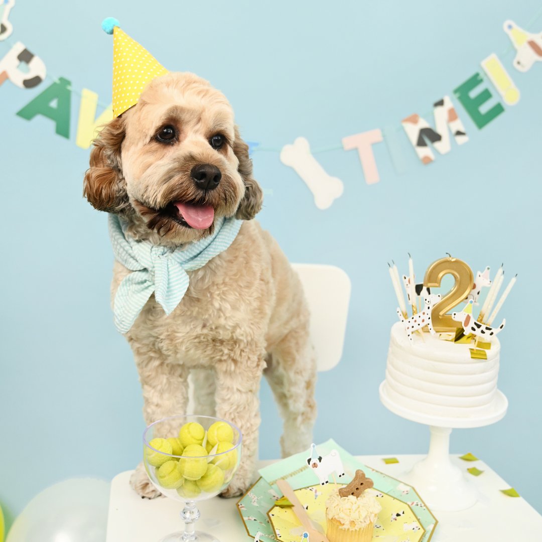 Dog Party Banner