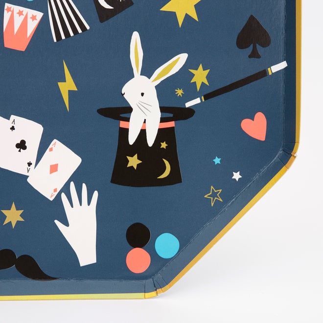 Magic Dinner Plates