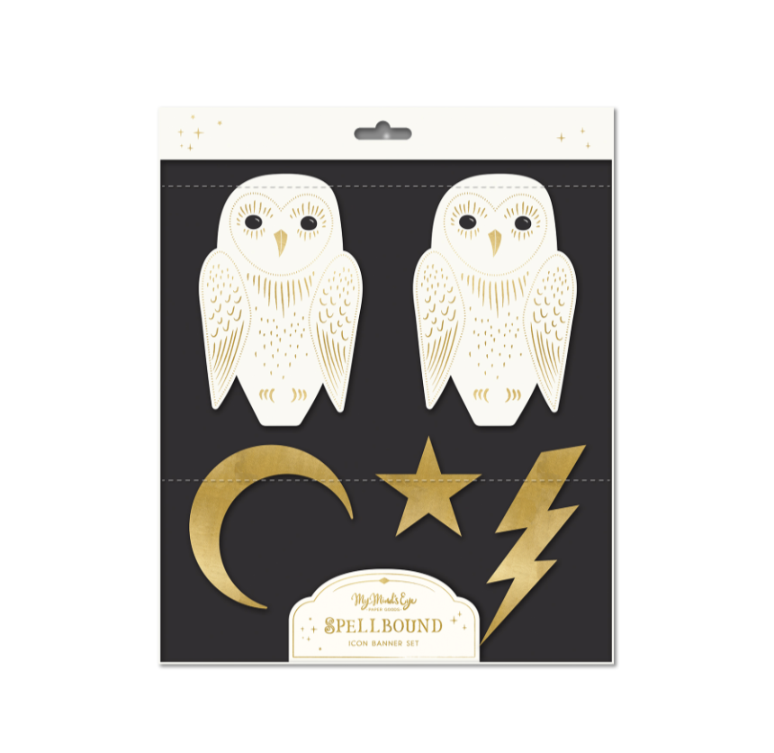 Spellbound Owl and Lightning Bolt Banner Set