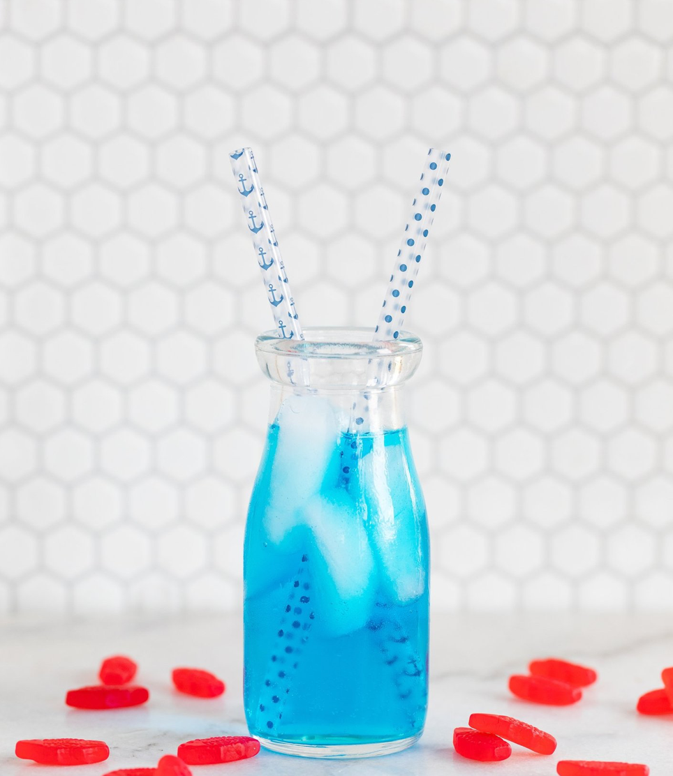 Nautical Reusable Straws (12)